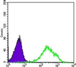 DAXX Antibody in Flow Cytometry (Flow)