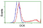 DCK Antibody in Flow Cytometry (Flow)