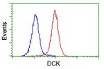 DCK Antibody in Flow Cytometry (Flow)
