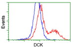 DCK Antibody in Flow Cytometry (Flow)