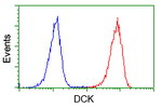 DCK Antibody in Flow Cytometry (Flow)