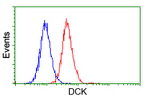 DCK Antibody in Flow Cytometry (Flow)