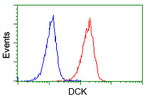 DCK Antibody in Flow Cytometry (Flow)