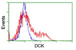 DCK Antibody in Flow Cytometry (Flow)