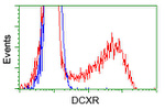 DCXR Antibody in Flow Cytometry (Flow)