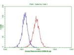 DECR1 Antibody in Flow Cytometry (Flow)