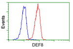 DEF8 Antibody in Flow Cytometry (Flow)