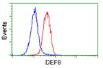 DEF8 Antibody in Flow Cytometry (Flow)