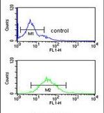 DENND1A Antibody in Flow Cytometry (Flow)