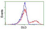 DLD Antibody in Flow Cytometry (Flow)