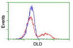 DLD Antibody in Flow Cytometry (Flow)