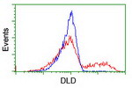 DLD Antibody in Flow Cytometry (Flow)