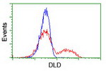 DLD Antibody in Flow Cytometry (Flow)