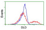 DLD Antibody in Flow Cytometry (Flow)