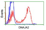 DNAJA2 Antibody in Flow Cytometry (Flow)