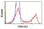 DNAJA2 Antibody in Flow Cytometry (Flow)