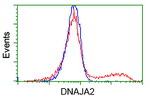 DNAJA2 Antibody in Flow Cytometry (Flow)