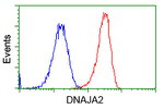 DNAJA2 Antibody in Flow Cytometry (Flow)