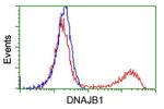 DNAJB1 Antibody in Flow Cytometry (Flow)