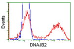 DNAJB2 Antibody in Flow Cytometry (Flow)