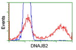 DNAJB2 Antibody in Flow Cytometry (Flow)