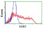 DOK7 Antibody in Flow Cytometry (Flow)