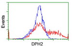 DPH2 Antibody in Flow Cytometry (Flow)