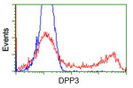 DPP3 Antibody in Flow Cytometry (Flow)