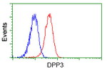 DPP3 Antibody in Flow Cytometry (Flow)