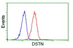 DSTN Antibody in Flow Cytometry (Flow)