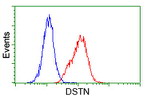 DSTN Antibody in Flow Cytometry (Flow)