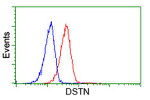 DSTN Antibody in Flow Cytometry (Flow)