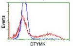 DTYMK Antibody in Flow Cytometry (Flow)