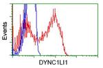 DYNC1LI1 Antibody in Flow Cytometry (Flow)