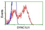 DYNC1LI1 Antibody in Flow Cytometry (Flow)