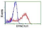 DYNC1LI1 Antibody in Flow Cytometry (Flow)