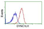 DYNC1LI1 Antibody in Flow Cytometry (Flow)