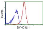 DYNC1LI1 Antibody in Flow Cytometry (Flow)