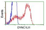 DYNC1LI1 Antibody in Flow Cytometry (Flow)