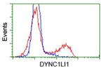 DYNC1LI1 Antibody in Flow Cytometry (Flow)