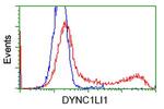 DYNC1LI1 Antibody in Flow Cytometry (Flow)