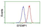 EFEMP1 Antibody in Flow Cytometry (Flow)