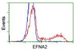 EFNA2 Antibody in Flow Cytometry (Flow)