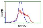 EFNA2 Antibody in Flow Cytometry (Flow)