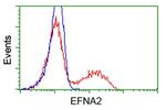 EFNA2 Antibody in Flow Cytometry (Flow)