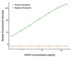 EGFR Antibody in Luminex (LUM)