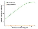 EGFR Antibody in Luminex (LUM)