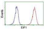 EIF1 Antibody in Flow Cytometry (Flow)