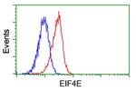 EIF4E Antibody in Flow Cytometry (Flow)