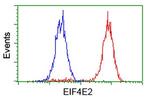 EIF4E2 Antibody in Flow Cytometry (Flow)